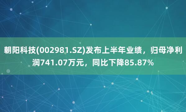 朝阳科技(002981.SZ)发布上半年业绩,归母净利润741.07万元,同比下降85.87%