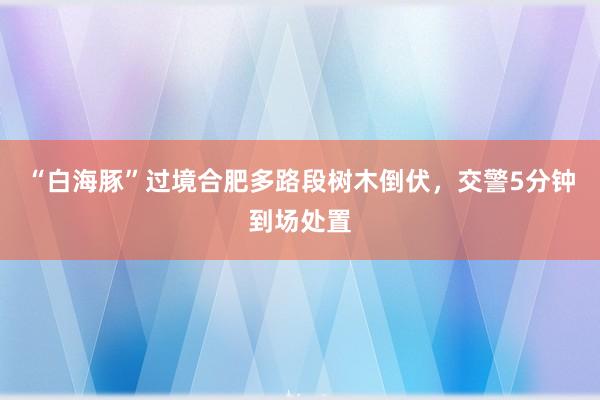 “白海豚”过境合肥多路段树木倒伏，交警5分钟到场处置