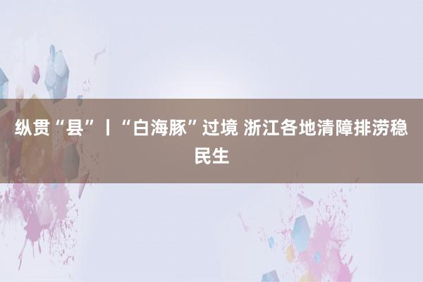 纵贯“县”丨“白海豚”过境 浙江各地清障排涝稳民生