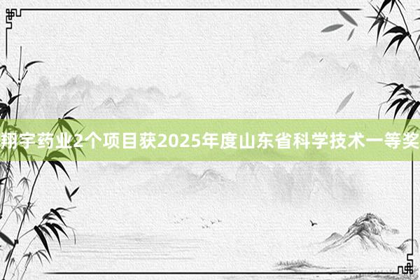 翔宇药业2个项目获2025年度山东省科学技术一等奖