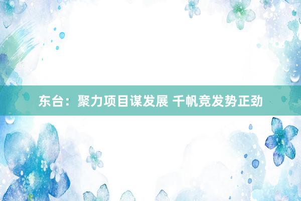 东台：聚力项目谋发展 千帆竞发势正劲