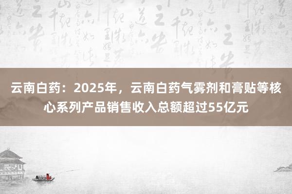 云南白药：2025年，云南白药气雾剂和膏贴等核心系列产品销售收入总额超过55亿元