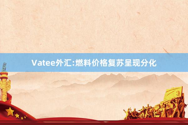 Vatee外汇:燃料价格复苏呈现分化