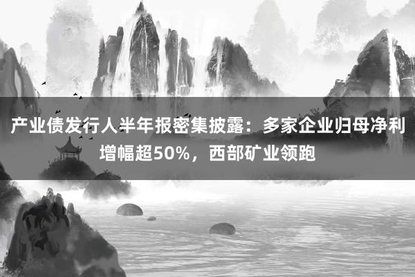 产业债发行人半年报密集披露：多家企业归母净利增幅超50%，西部矿业领跑