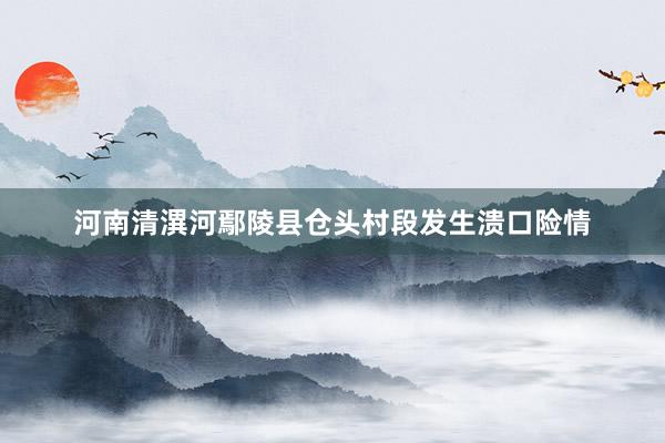 河南清潩河鄢陵县仓头村段发生溃口险情
