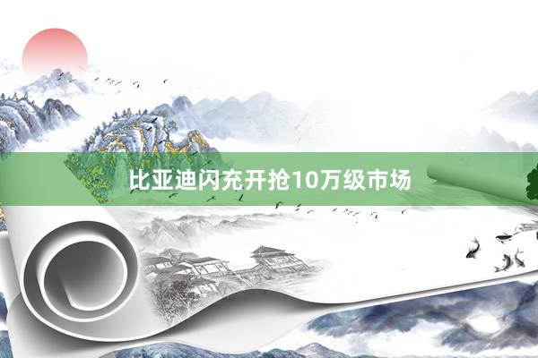 比亚迪闪充开抢10万级市场