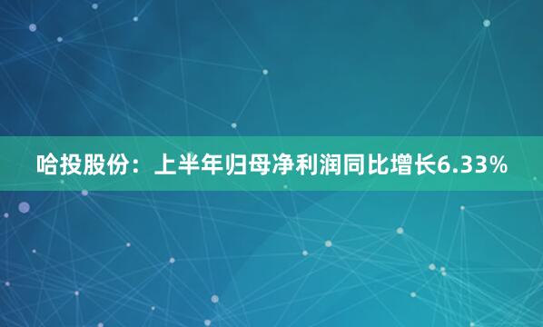 哈投股份：上半年归母净利润同比增长6.33%