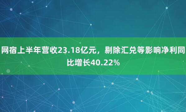 网宿上半年营收23.18亿元，剔除汇兑等影响净利同比增长40.22%