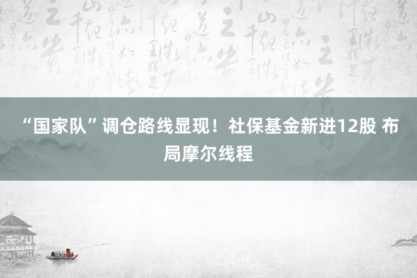 “国家队”调仓路线显现！社保基金新进12股 布局摩尔线程