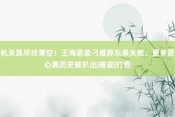 机关算尽终落空！王海恶意刁难胖东来失败，更多恶心黑历史被扒出|碰瓷|打假
