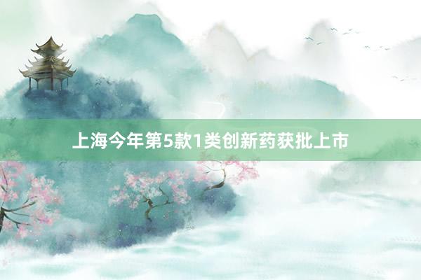 上海今年第5款1类创新药获批上市