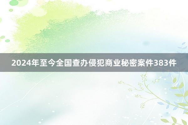 2024年至今全国查办侵犯商业秘密案件383件