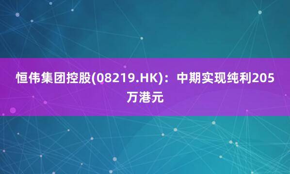 恒伟集团控股(08219.HK)：中期实现纯利205万港元