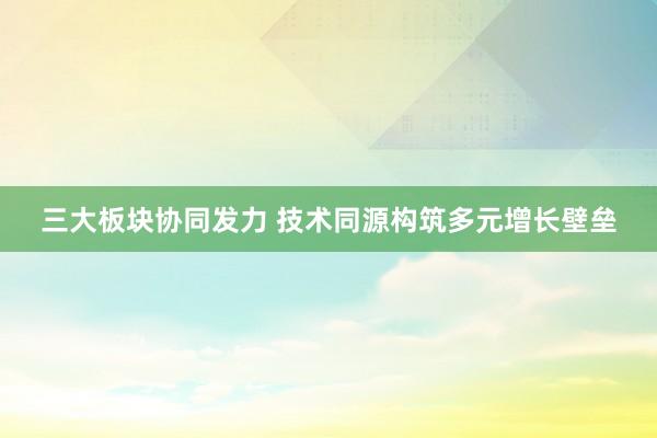 三大板块协同发力 技术同源构筑多元增长壁垒