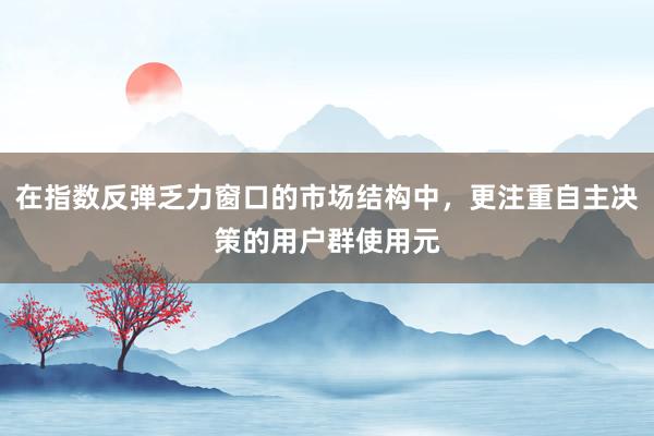 在指数反弹乏力窗口的市场结构中，更注重自主决策的用户群使用元