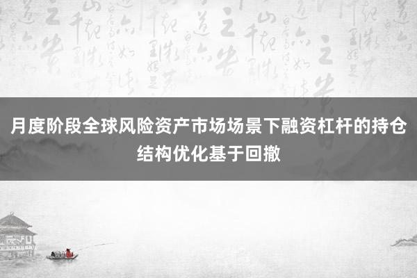 月度阶段全球风险资产市场场景下融资杠杆的持仓结构优化基于回撤