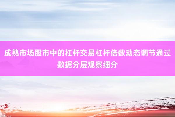 成熟市场股市中的杠杆交易杠杆倍数动态调节通过数据分层观察细分