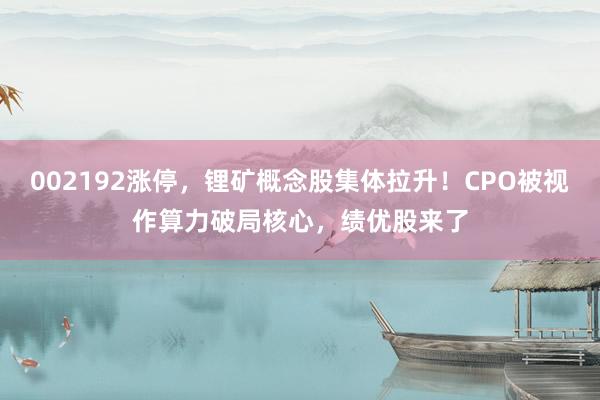 002192涨停，锂矿概念股集体拉升！CPO被视作算力破局核心，绩优股来了