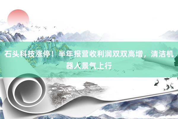 石头科技涨停！半年报营收利润双双高增，清洁机器人景气上行