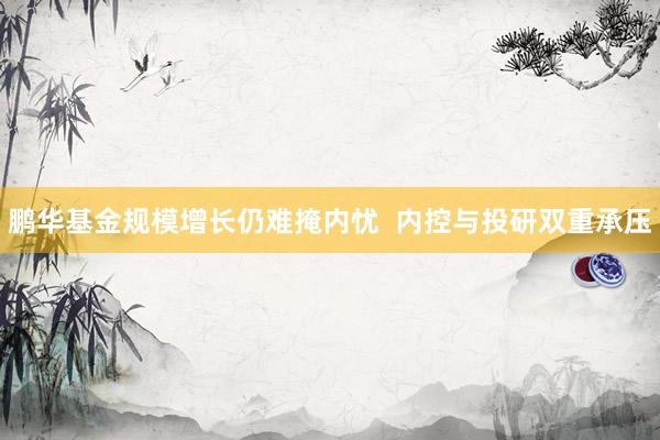 鹏华基金规模增长仍难掩内忧  内控与投研双重承压
