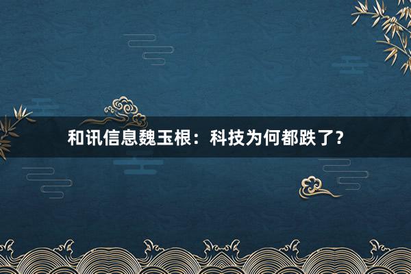 和讯信息魏玉根：科技为何都跌了？