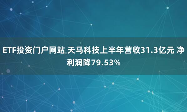 ETF投资门户网站 天马科技上半年营收31.3亿元 净利润降79.53%