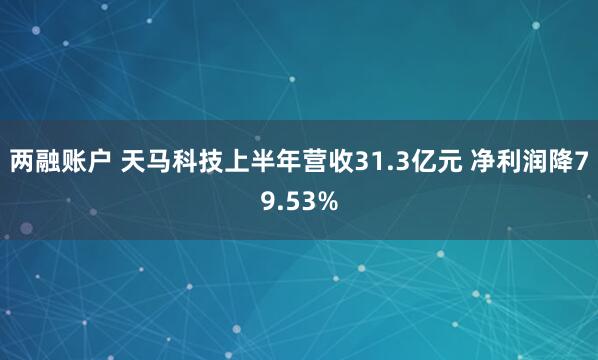 两融账户 天马科技上半年营收31.3亿元 净利润降79.53%