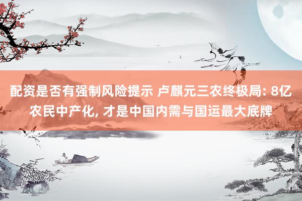 配资是否有强制风险提示 卢麒元三农终极局: 8亿农民中产化, 才是中国内需与国运最大底牌