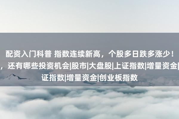 配资入门科普 指数连续新高，个股多日跌多涨少！机构卖卖卖，还有哪些投资机会|股市|大盘股|上证指数|增量资金|创业板指数