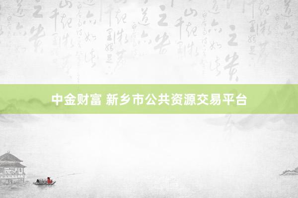 中金财富 新乡市公共资源交易平台
