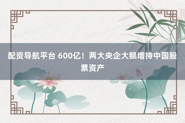 配资导航平台 600亿！两大央企大额增持中国股票资产