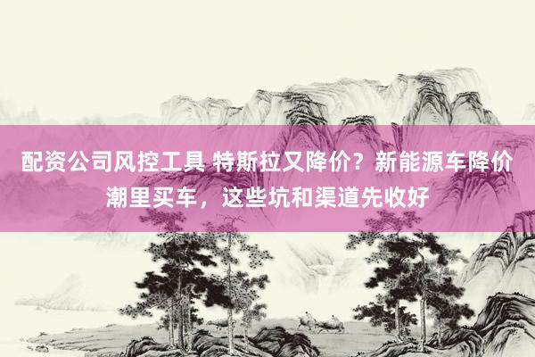 配资公司风控工具 特斯拉又降价？新能源车降价潮里买车，这些坑和渠道先收好