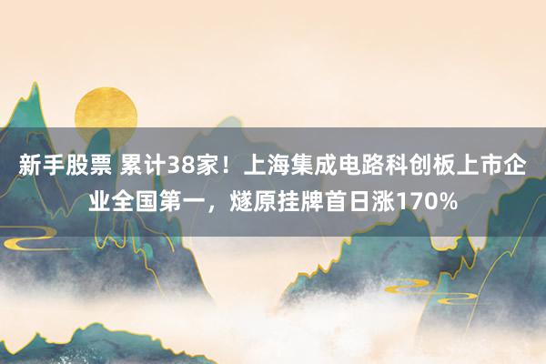 新手股票 累计38家！上海集成电路科创板上市企业全国第一，燧原挂牌首日涨170%
