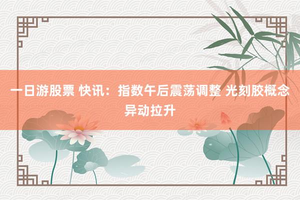 一日游股票 快讯：指数午后震荡调整 光刻胶概念异动拉升