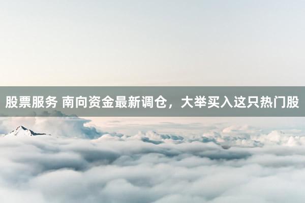 股票服务 南向资金最新调仓，大举买入这只热门股