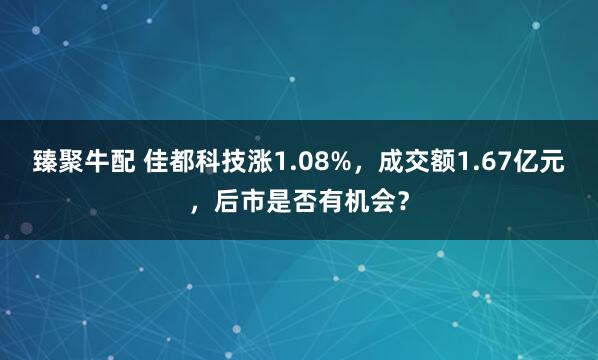 臻聚牛配 佳都科技涨1.08%，成交额1.67亿元，后市是否有机会？