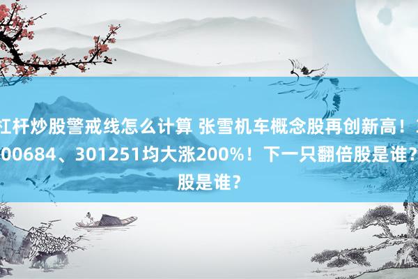杠杆炒股警戒线怎么计算 张雪机车概念股再创新高!300684、301251均大涨200%!下一只翻倍股是谁?