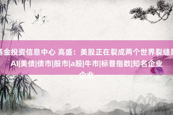 基金投资信息中心 高盛：美股正在裂成两个世界裂缝是AI|美债|债市|股市|a股|牛市|标普指数|知名企业