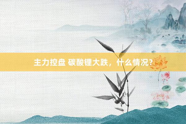 主力控盘 碳酸锂大跌,什么情况?
