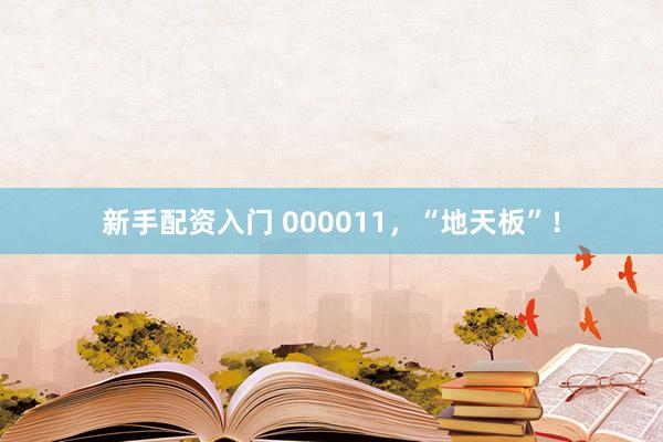 新手配资入门 000011，“地天板”！