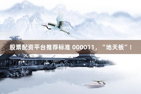 股票配资平台推荐标准 000011，“地天板”！