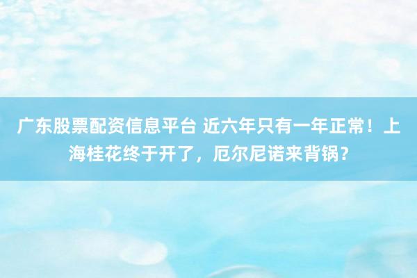 广东股票配资信息平台 近六年只有一年正常！上海桂花终于开了，厄尔尼诺来背锅？