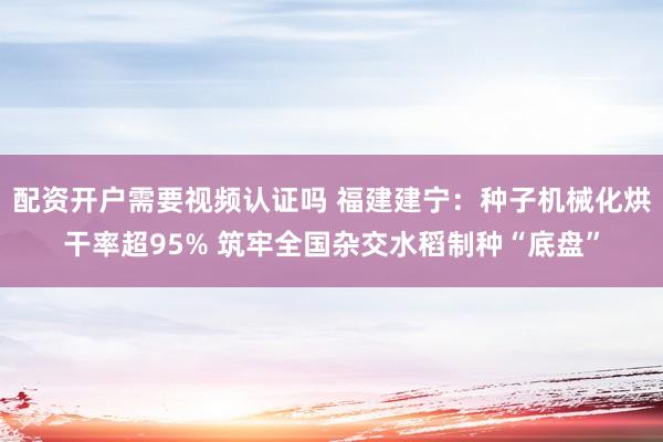 配资开户需要视频认证吗 福建建宁:种子机械化烘干率超95% 筑牢全国杂交水稻制种“底盘”