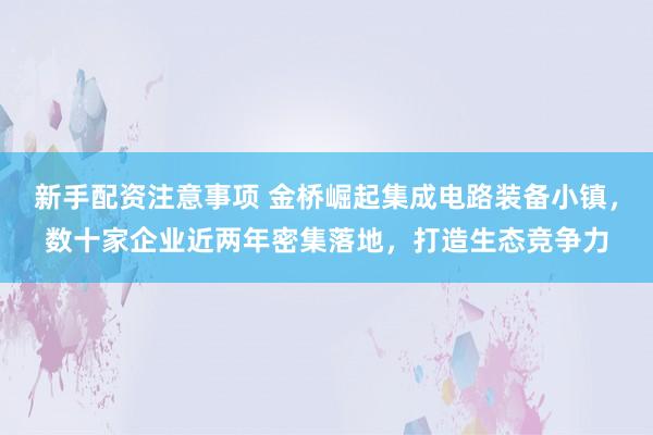 新手配资注意事项 金桥崛起集成电路装备小镇，数十家企业近两年密集落地，打造生态竞争力